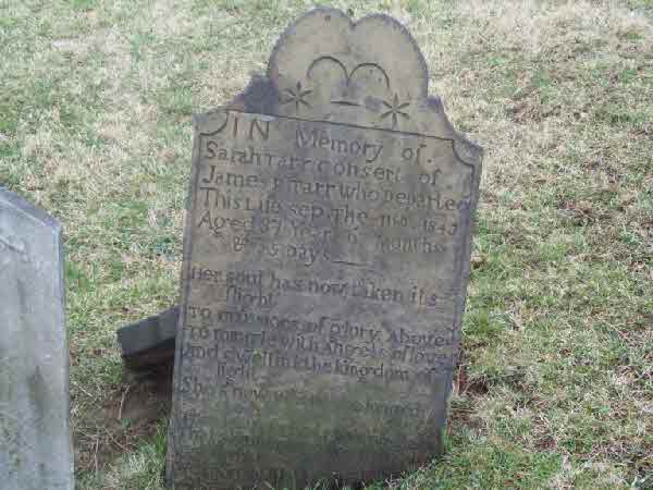 sarah sherbondy tarr headstone